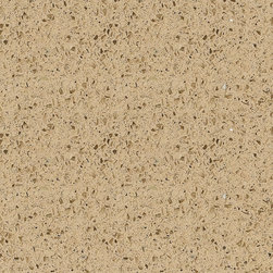 QUARTZ COUNTER TOP AND FLOOR - Kitchen Countertops