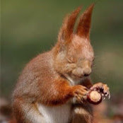 Laura Corless's photo