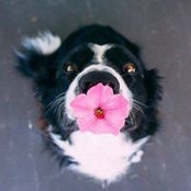 Foto von Wendy Gray