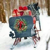 Erin Sorge's photo