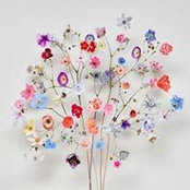 Nora Hamm's photo
