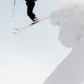 Michael Ehrlichs foto