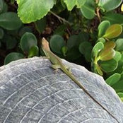 Ann Burigsay's photo