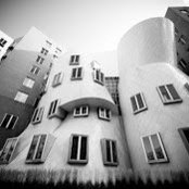 Photo de Cat Wood
