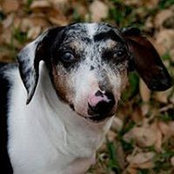 Kirby Braun's photo