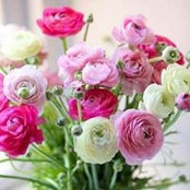 Adeeba Kay's photo