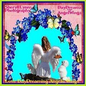 Sheryll Lynn's photo