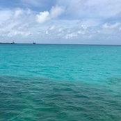 Kevin Cargile's photo