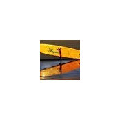 Larry Norton's photo