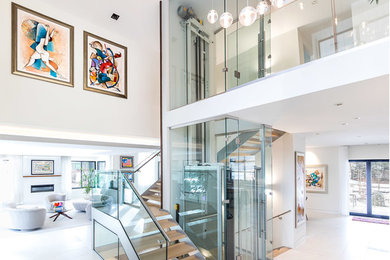 Inspiration for a contemporary porcelain tile and white floor entryway remodel in Baltimore with white walls and a dark wood front door