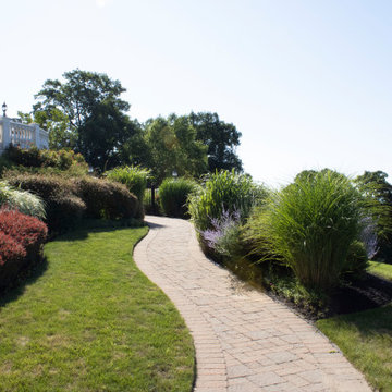 New City Planting Project