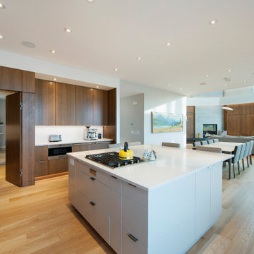 Ridge House - Rebuild
