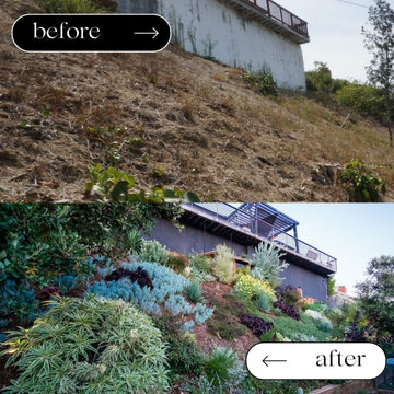 Hillside Transformation