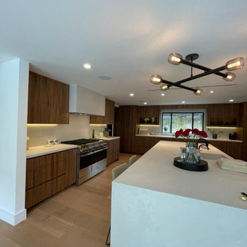 Kitchen Renovation Cambridge