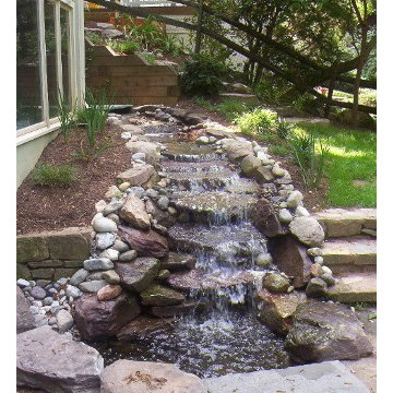 Shady side yard