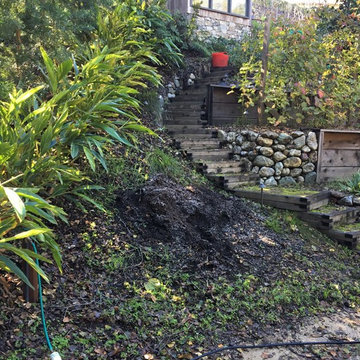 Shady Winter, Sunny Summer Slope