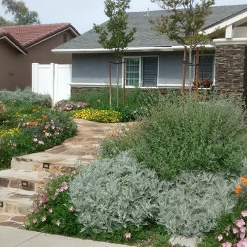 Mission Viejo Habitat Front Yard