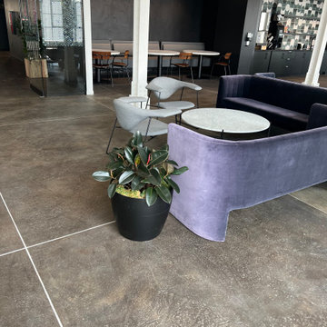 NPS 20,000 sqft Concrete Floor Restoration