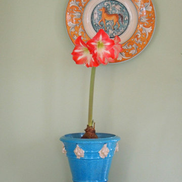 Bonechi Imports Italian Ceramics