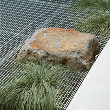 Native Garden