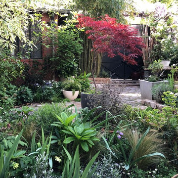 Aménagement paysager d'un jardin de ville à Malakoff...