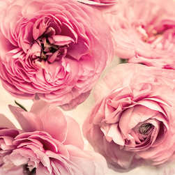 Summer Wind - Wallpaper