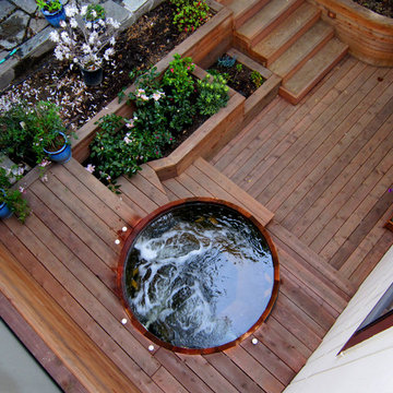 Mid Century Modern Gardens