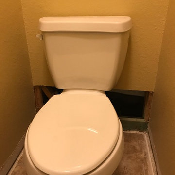 Before: Master Toilet Closet
