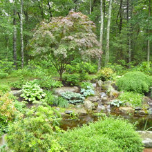 Bolton Front yard