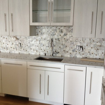 Luxury Condo Kitchen Variations