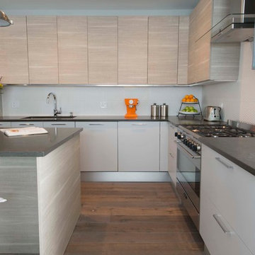 Chicago House Remodel: From Traditional to Contemporary