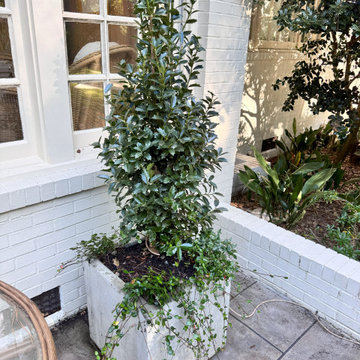 More Than Just Greenery