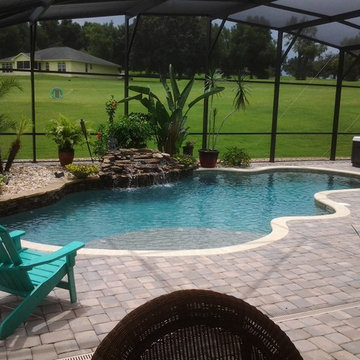 Lagoon Style Pools