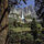 chris_guerette
