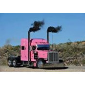 Robert Mccoy's photo