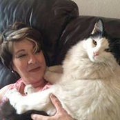 Meg Slivoskey's photo