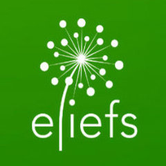 eliefs