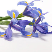 Andrea's photo