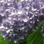 Sabrina Streagle's photo