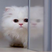 Foto di Meo Mim