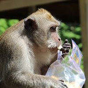 Johan Viaene's photo