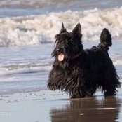 Jill Doyle's photo