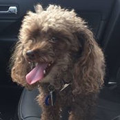 Marlene Aproff's photo