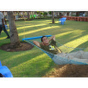 Sthitapragnya Biswal's photo