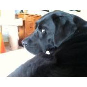 Elyse Miller's photo