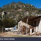 Jose Ulloa's photo