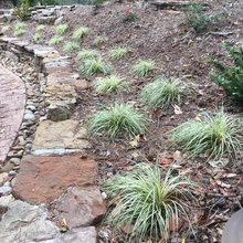 3625 front landscaping