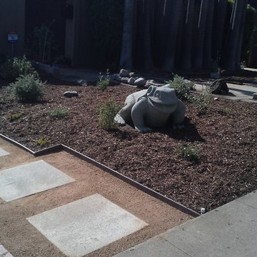 Modern, Drought Tolerant Landscape Design