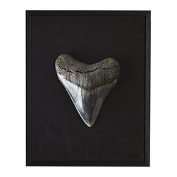 MEGALODON WALL ART&ndash;OLIGOCENE - NEW - Artwork
