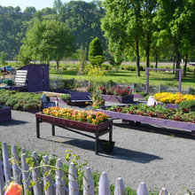 raised beds